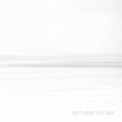 Foo Fighters — But Here We Are Foo Fighters - But Here We Are